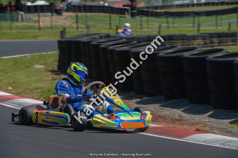 DSC_7485.jpg