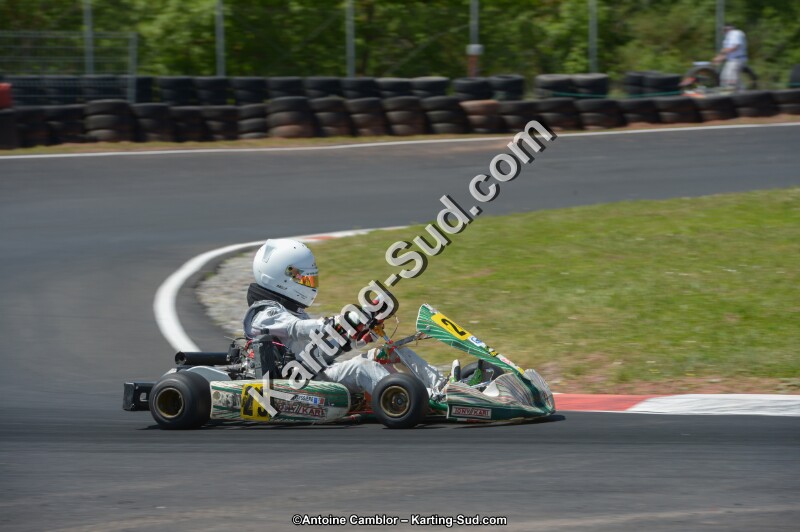 DSC_7495.jpg