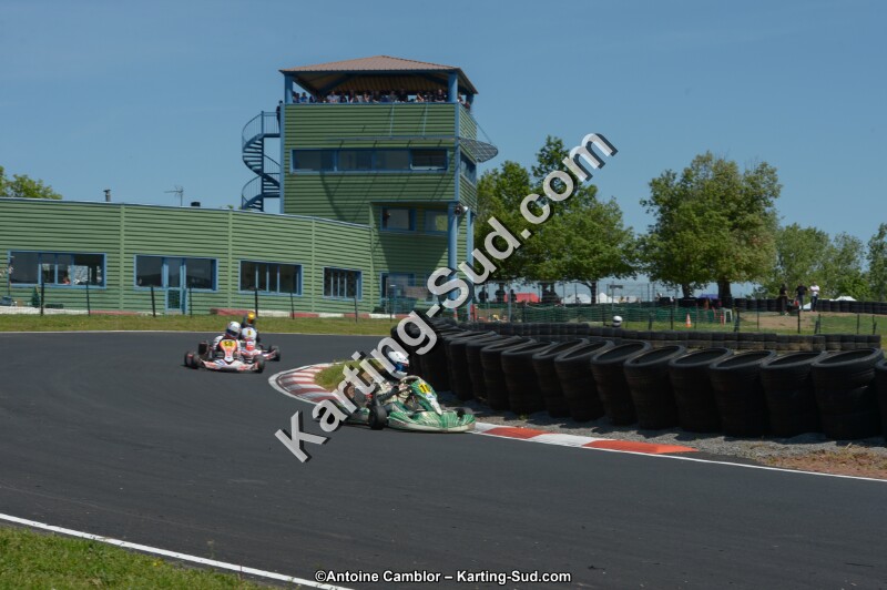 DSC_7503.jpg