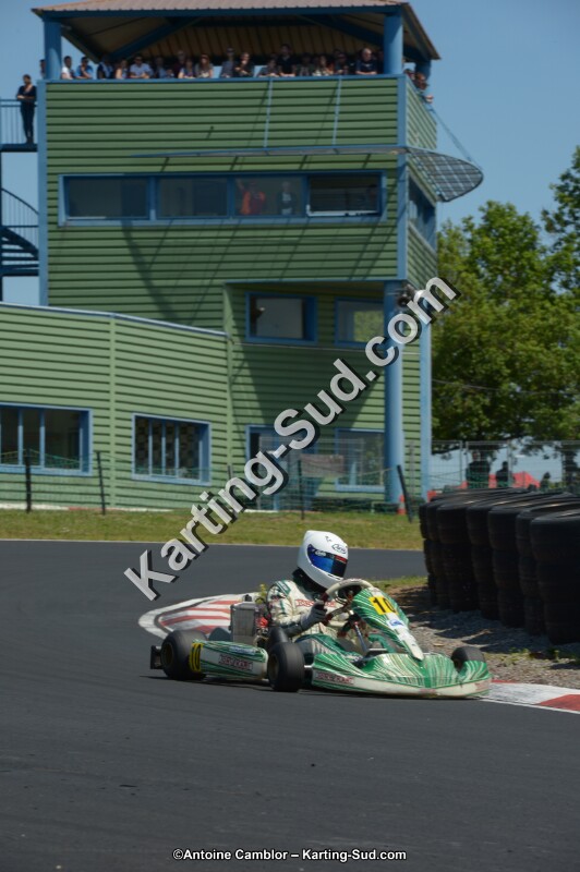 DSC_7517.jpg