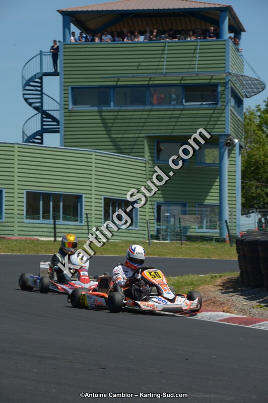DSC_7518.jpg