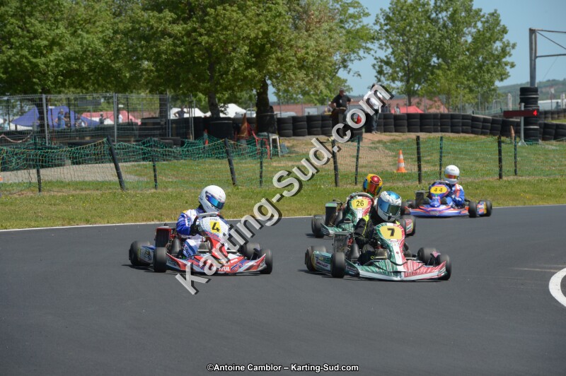 DSC_7524.jpg