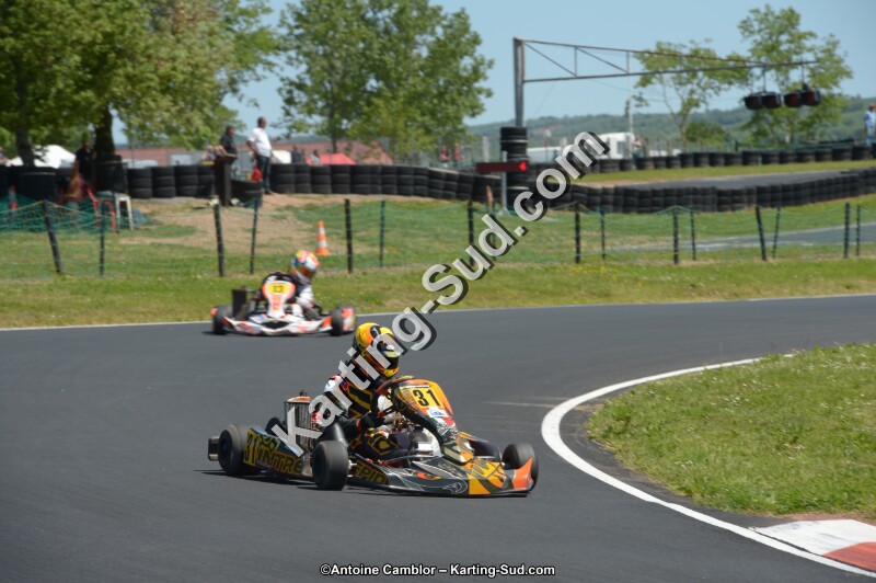 DSC_7528.jpg