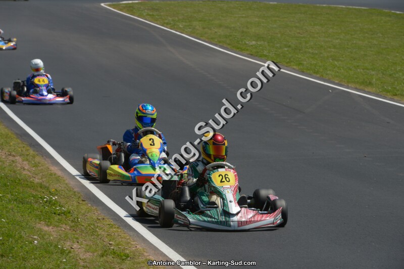 DSC_7546.jpg