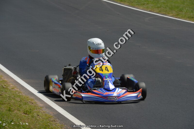 DSC_7547.jpg