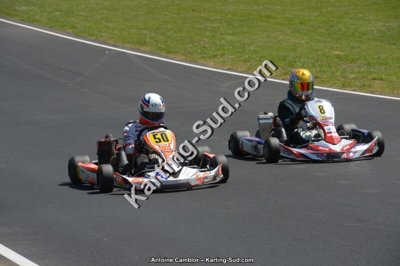 DSC_7555.jpg