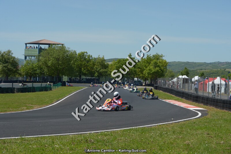 DSC_7593.jpg