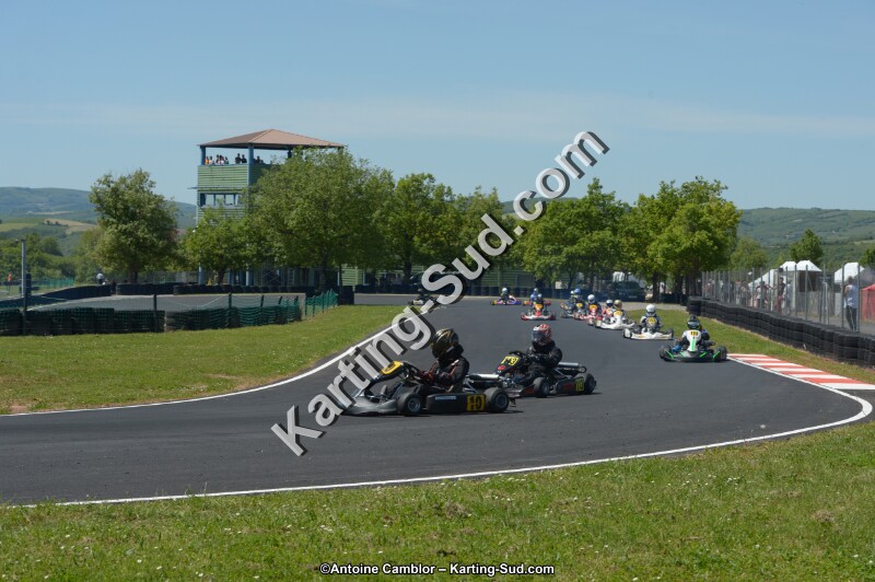 DSC_7594.jpg