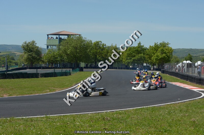 DSC_7595.jpg