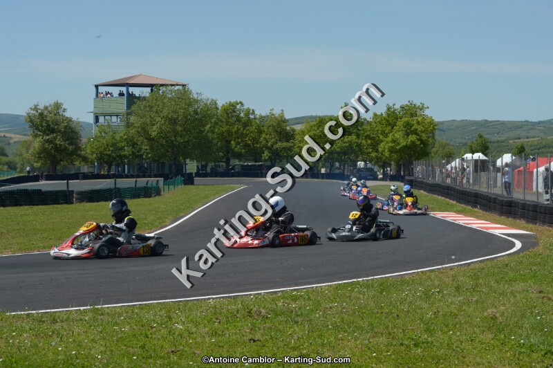 DSC_7596.jpg