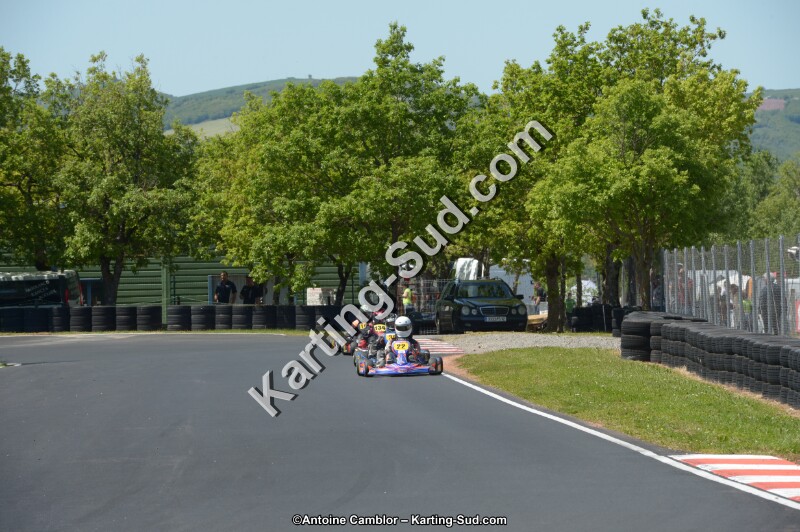 DSC_7598.jpg