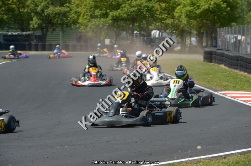 DSC_7605.jpg