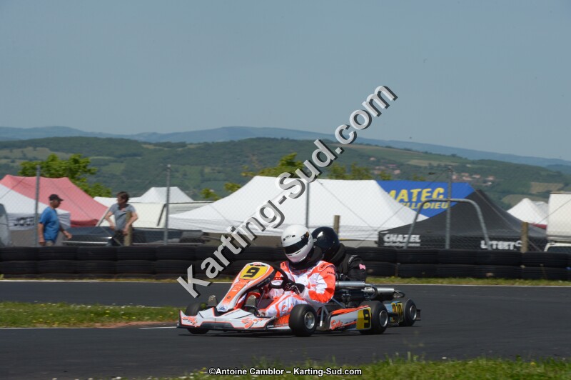 DSC_7610.jpg