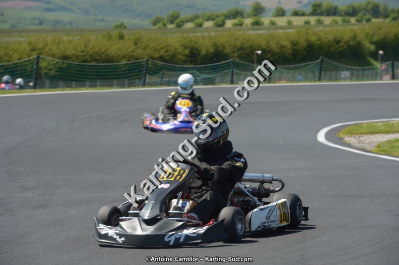 DSC_7631.jpg