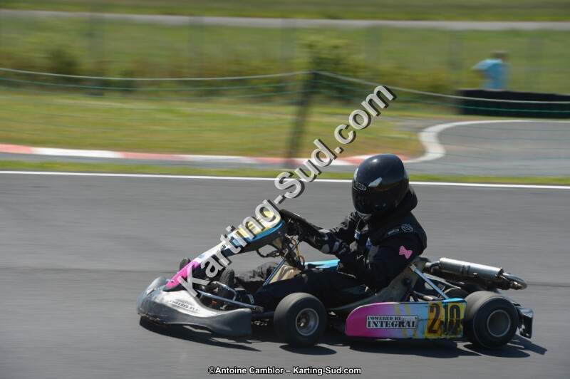 DSC_7651.jpg