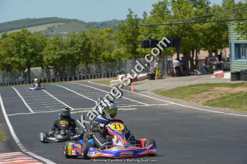 DSC_7664.jpg