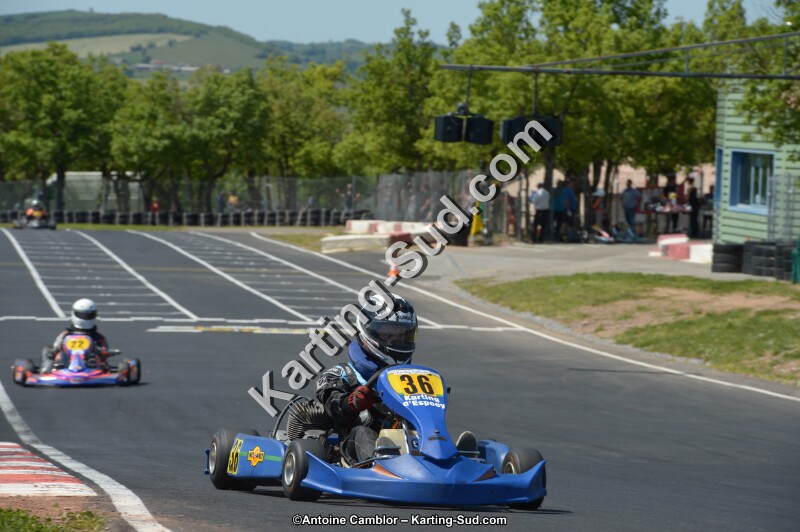 DSC_7676.jpg