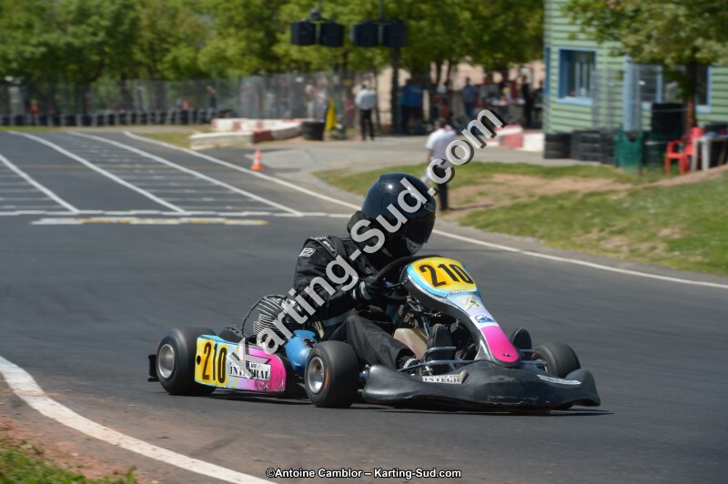 DSC_7682.jpg