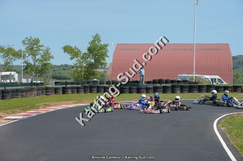 DSC_7699.jpg