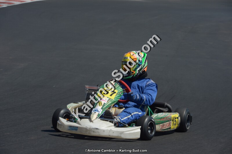 DSC_7704.jpg