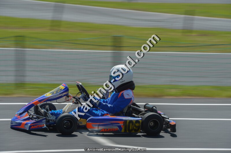 DSC_7740.jpg