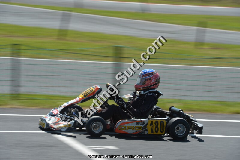 DSC_7744.jpg