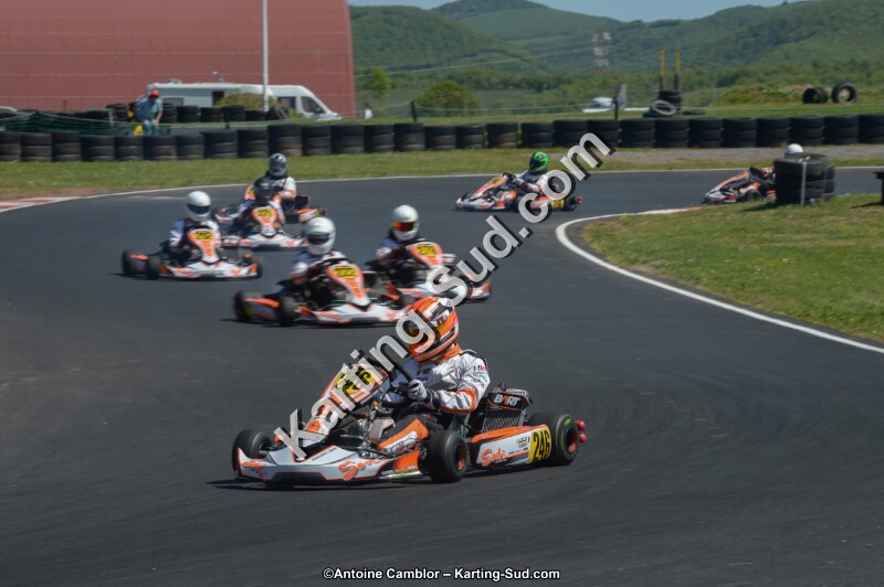 DSC_7766.jpg