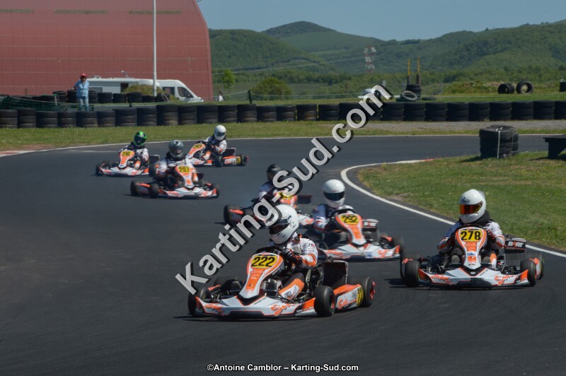 DSC_7767.jpg