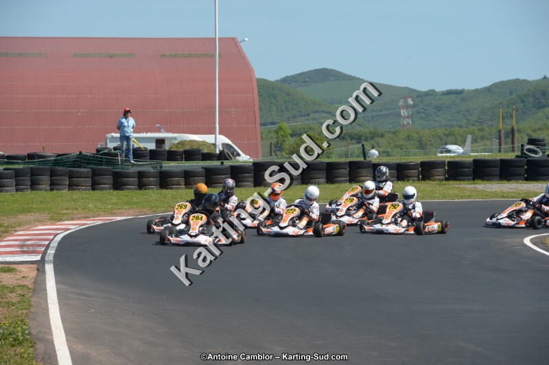 DSC_7774.jpg