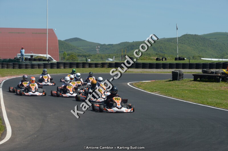 DSC_7775.jpg