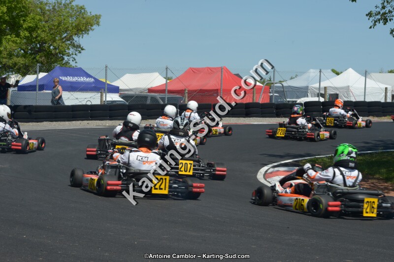 DSC_7779.jpg