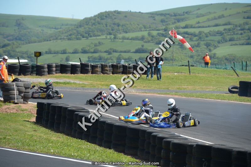 DSC_7781.jpg