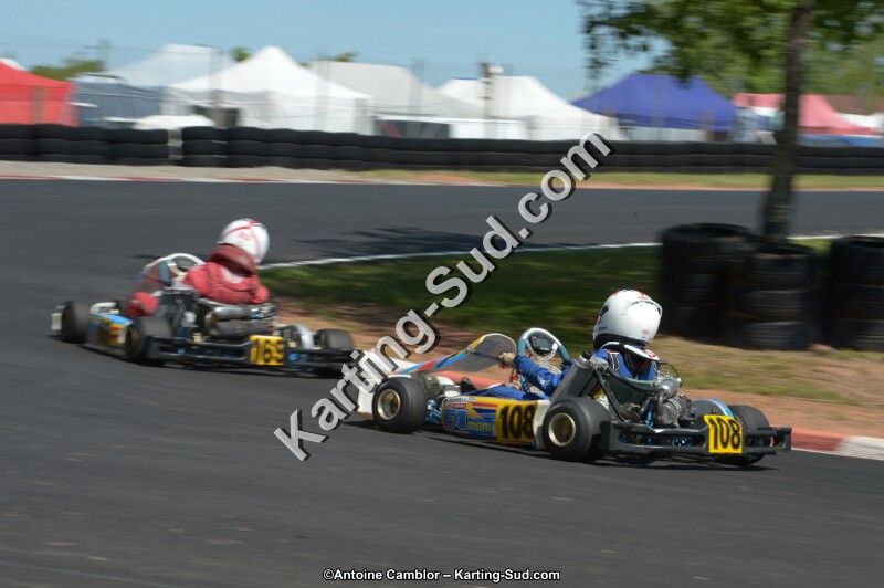 DSC_7799.jpg
