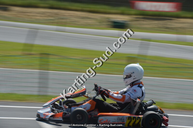 DSC_7804.jpg