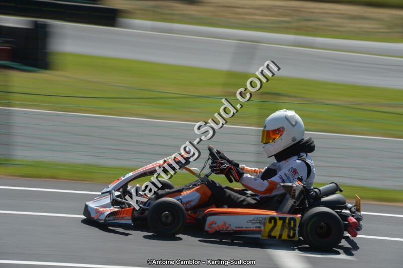 DSC_7805.jpg