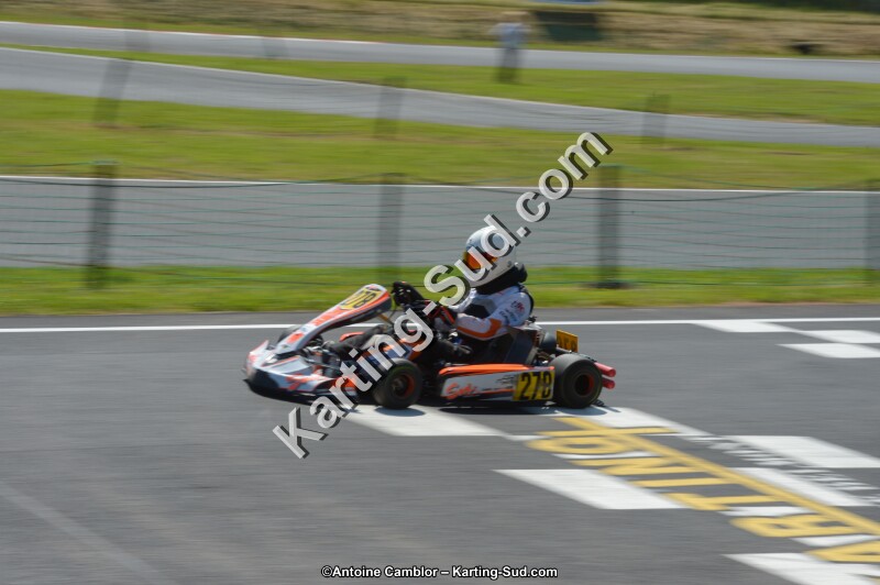 DSC_7816.jpg