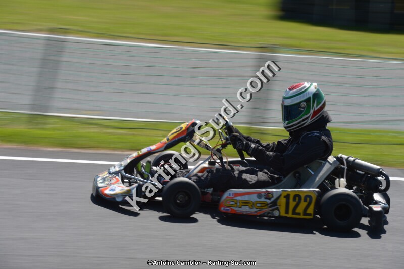 DSC_7824.jpg