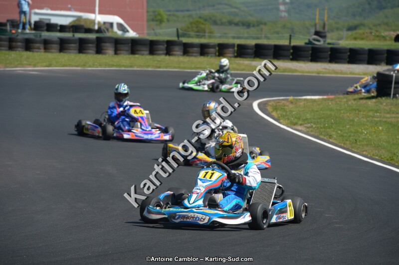DSC_7917.jpg