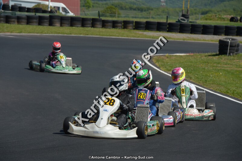 DSC_7929.jpg