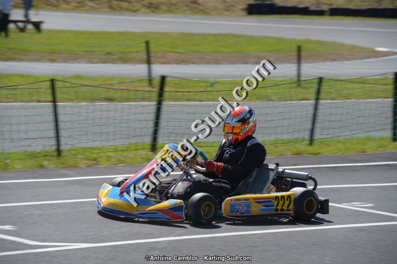 DSC_7930.jpg