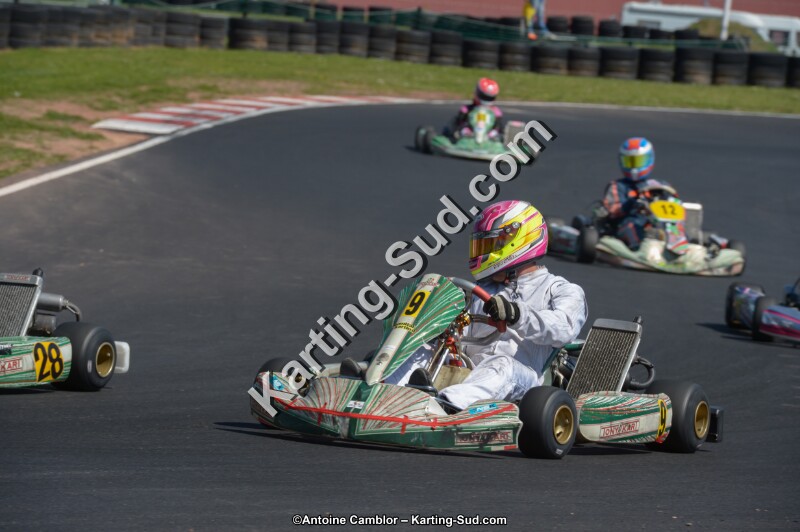 DSC_7931.jpg