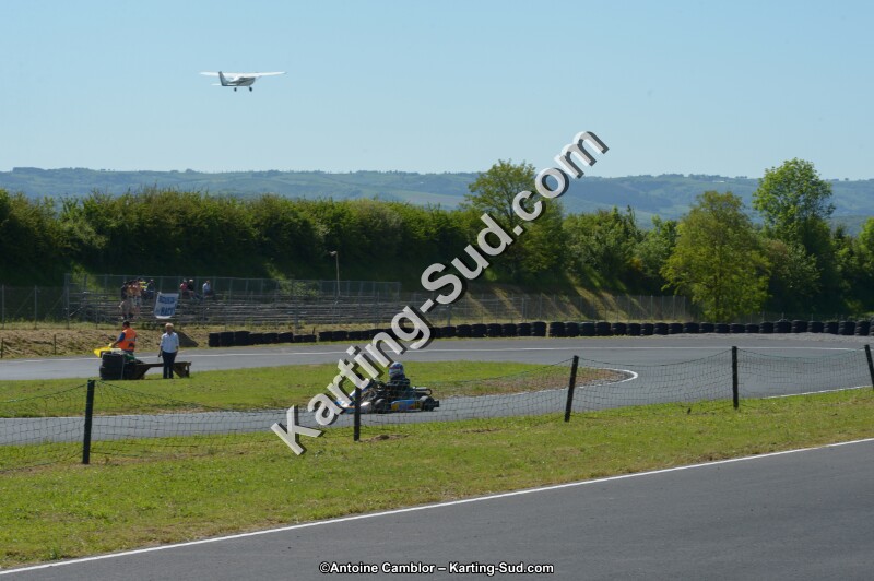 DSC_7949.jpg