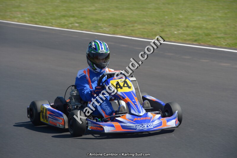 DSC_7955.jpg