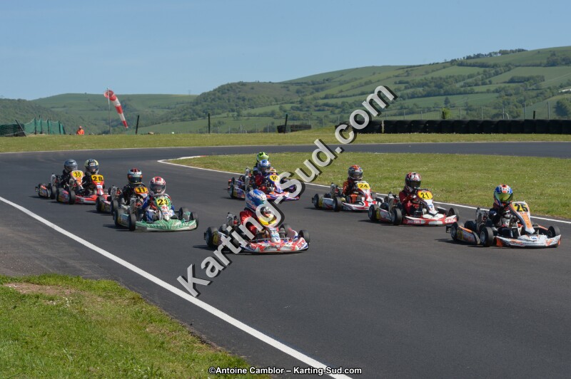 DSC_7966.jpg