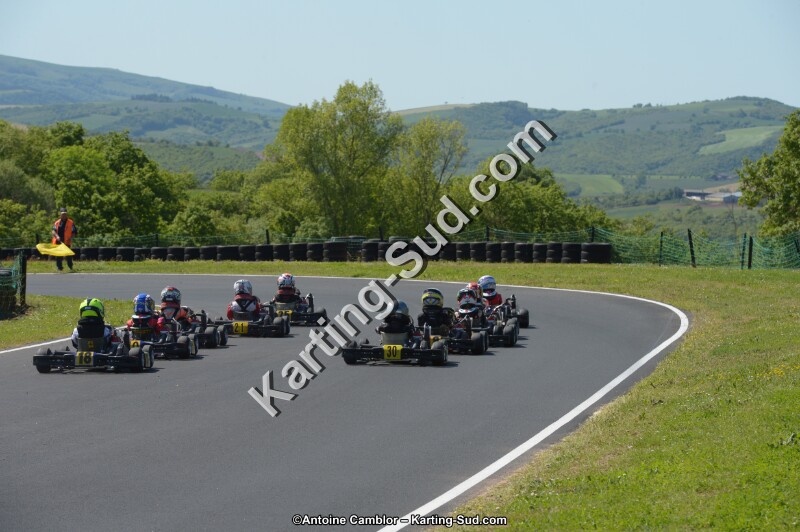 DSC_7967.jpg