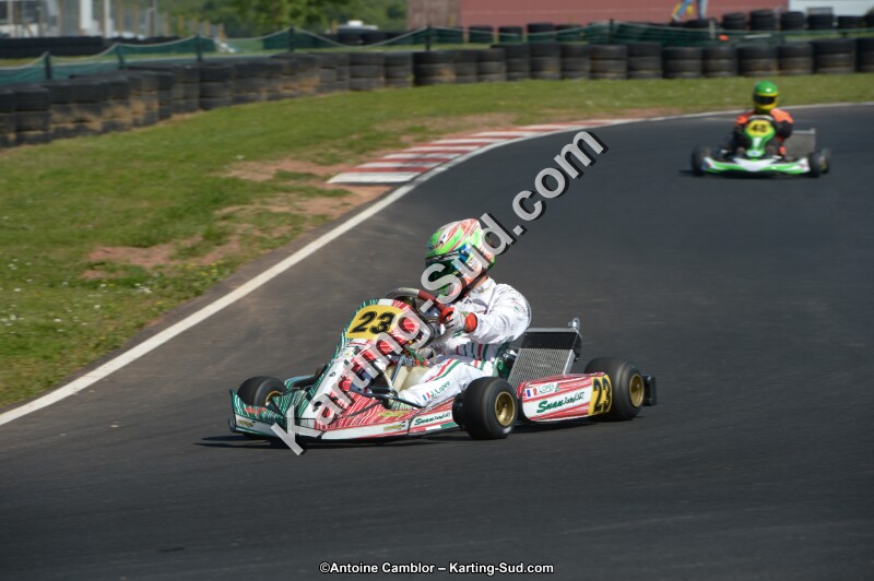DSC_7996.jpg