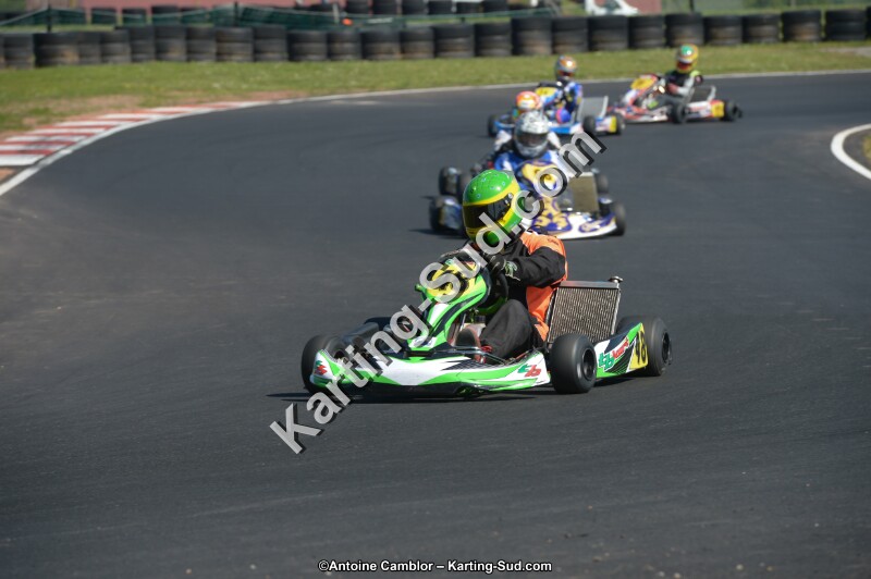 DSC_7997.jpg