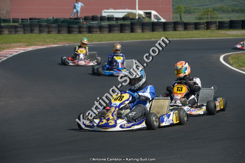 DSC_7998.jpg