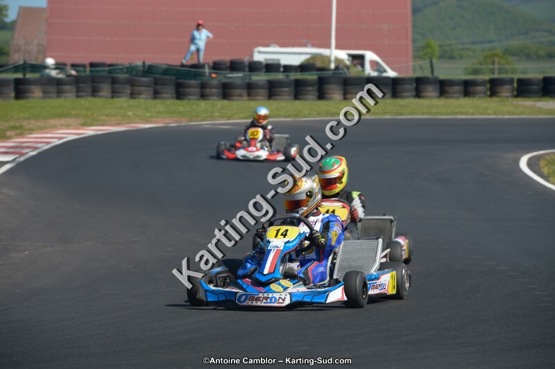 DSC_7999.jpg