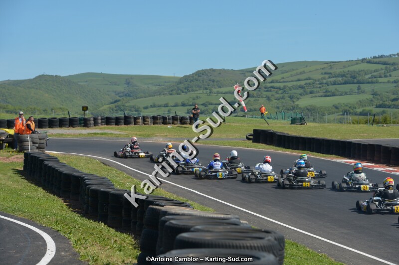 DSC_8009.jpg